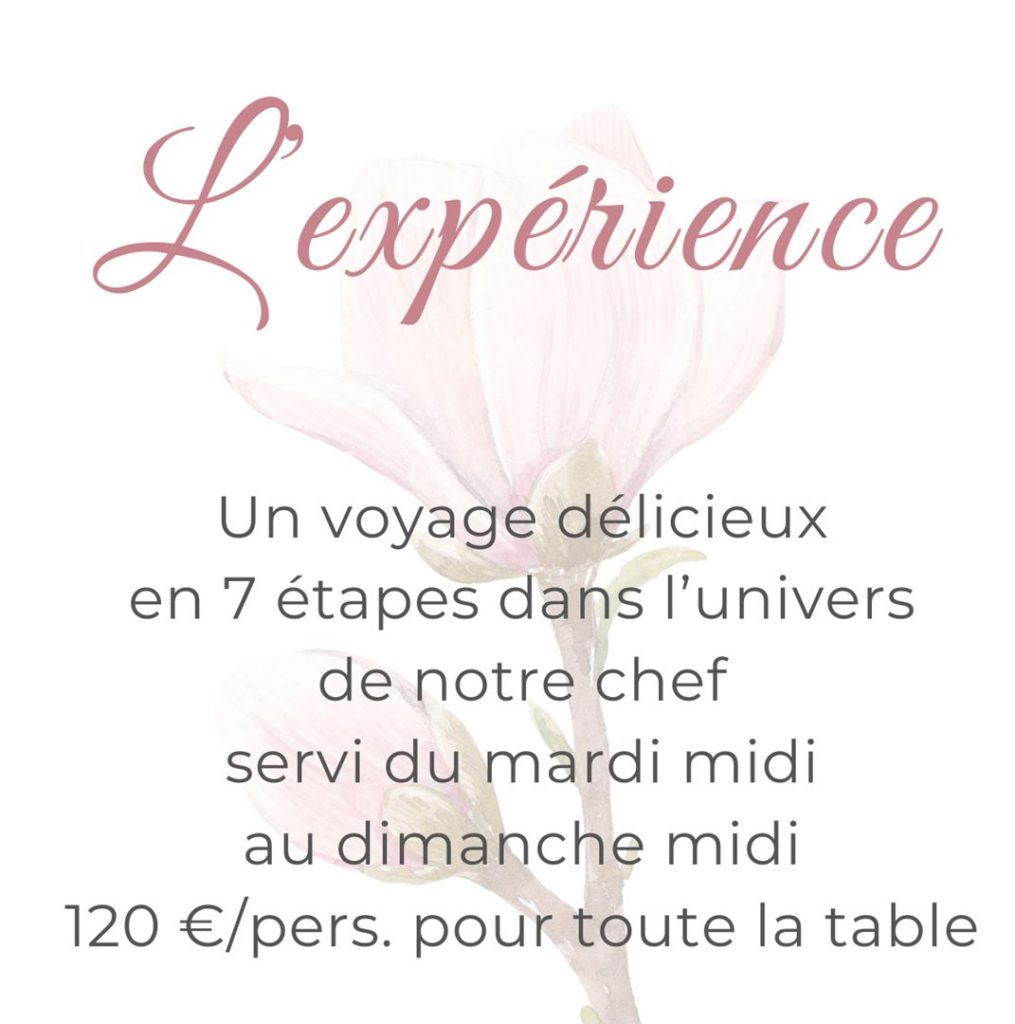 experience-site-fr-prix-web