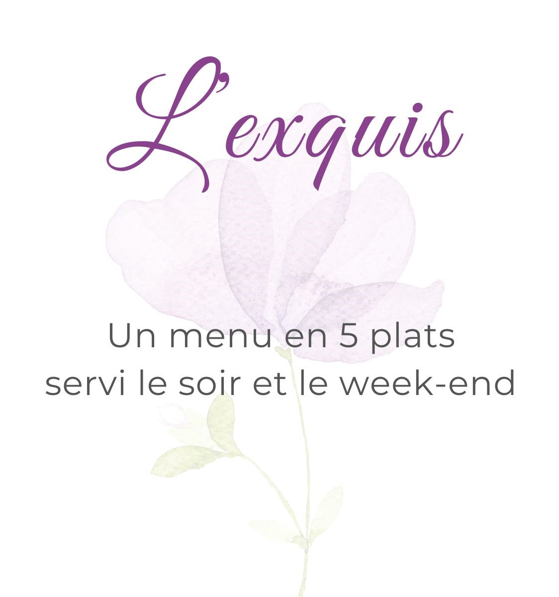 exquis-site